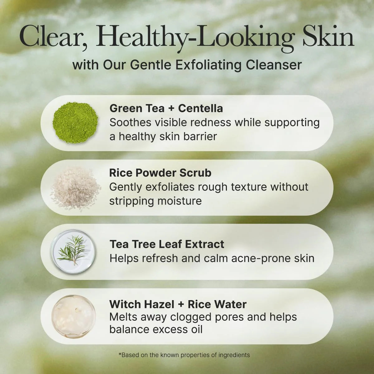 Fresh Green Rice Mochi Cleanser 100G 2 Pack