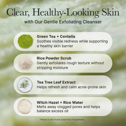 Fresh Green Rice Mochi Cleanser 100G 2 Pack